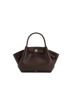 Stylish dark brown JW PEI Hana Mini Tote bag shown with gold hardware and adjustable strap, perfect for women shopping in Bahrain.